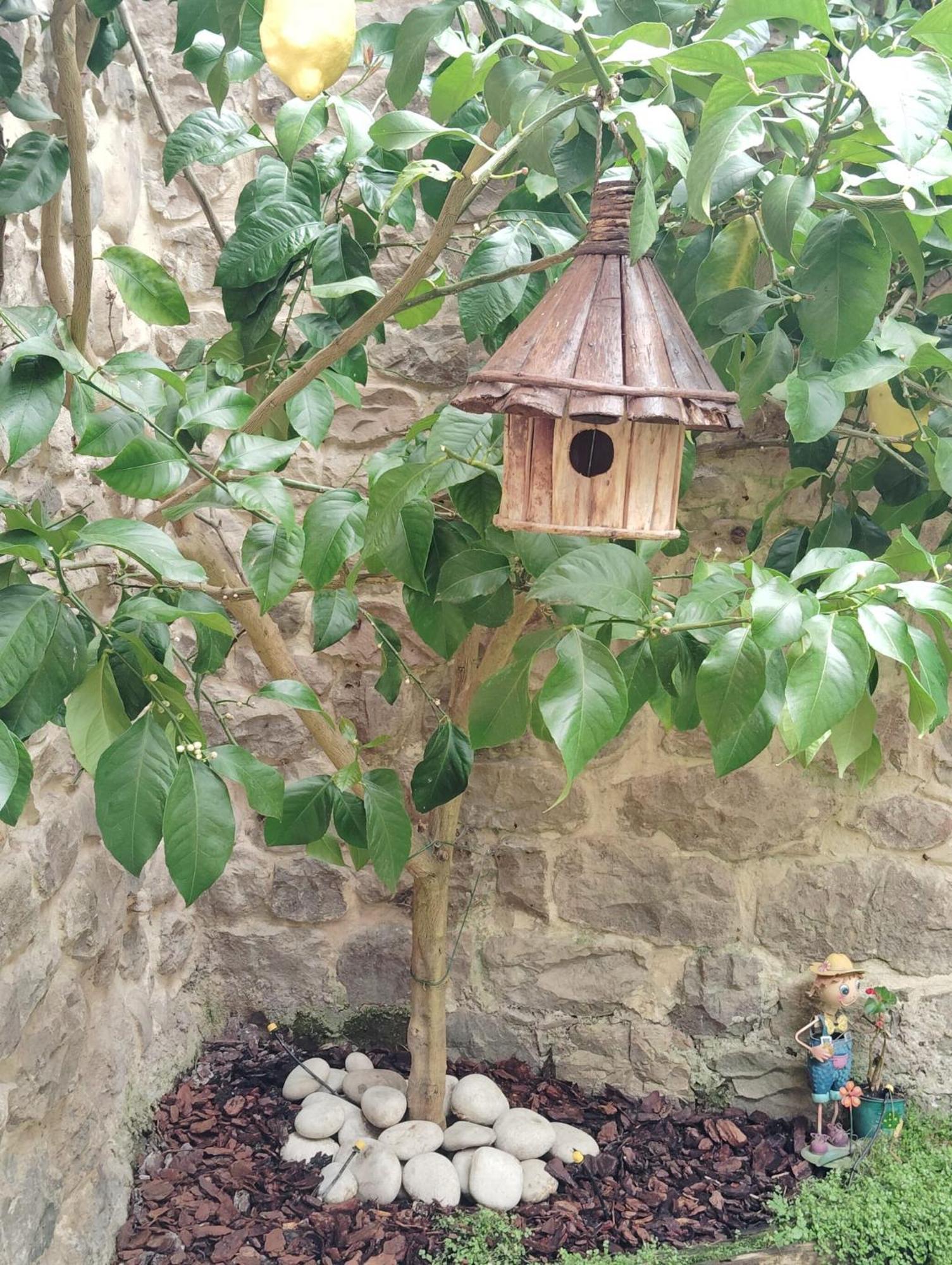 Villa El Limonero Arenas de Iguña Esterno foto